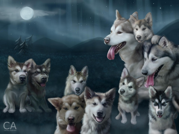 Обои картинки фото рисованные, животные, собаки, собака, щенки