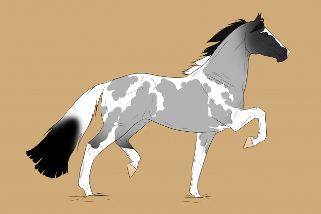 Обои картинки фото рисованные, животные, лошади, лошадь