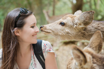 Картинка девушки -unsort+ лица +портреты животные профиль улыбка шатенка лицо девушка