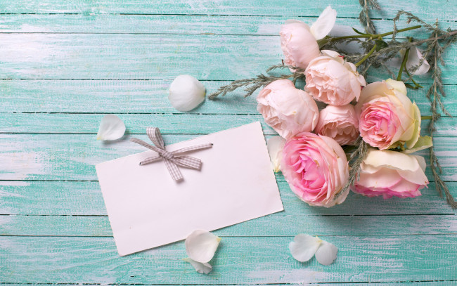 Обои картинки фото цветы, розы, pink, roses, flowers, soft, букет