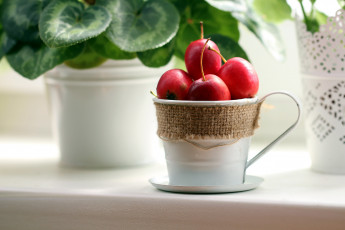 Картинка еда Яблоки яблоки райские