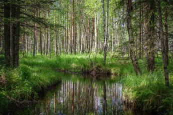 Картинка природа реки озера простор