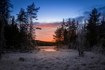 Картинка природа зима простор