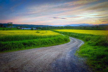 Картинка природа дороги простор