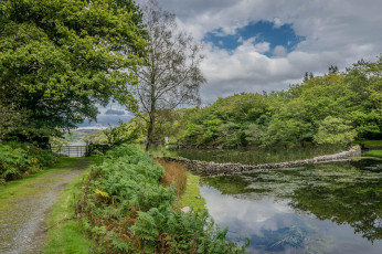 Картинка природа реки озера простор