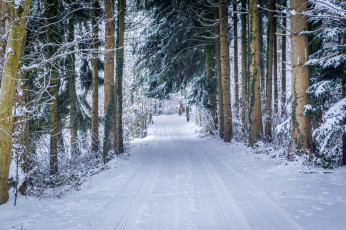 Картинка природа зима простор