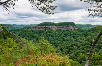 Картинка природа пейзажи простор