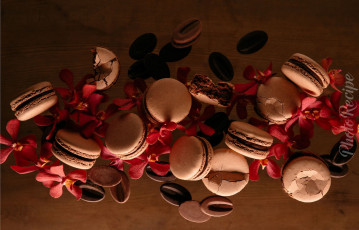 Картинка еда макаруны орхидея пирожное