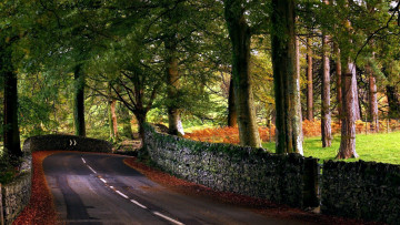 Картинка природа дороги шоссе крутой поворот