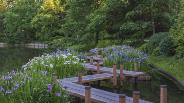 Картинка природа реки озера простор