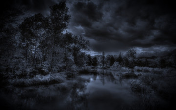 Картинка природа реки озера река лес