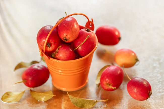 Обои картинки фото еда, Яблоки, листья, яблочки, ведерко