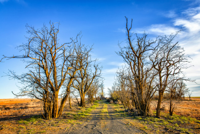 Обои картинки фото природа, дороги, простор