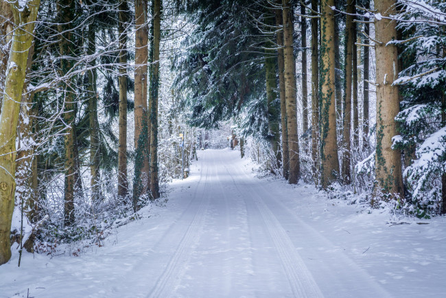 Обои картинки фото природа, зима, простор