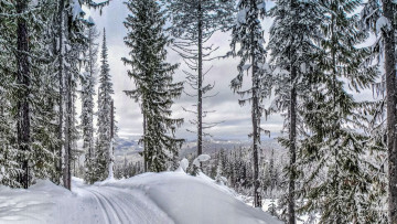 Картинка природа дороги зима дорога