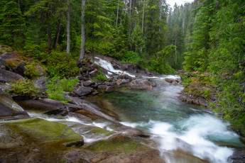 Картинка природа реки озера простор