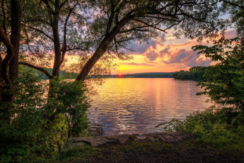 Картинка природа реки озера простор