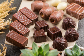 Картинка еда конфеты +шоколад +сладости снедь