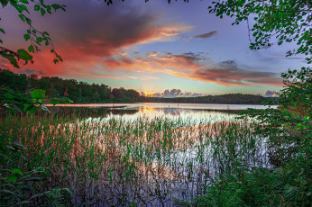 Картинка природа реки озера простор