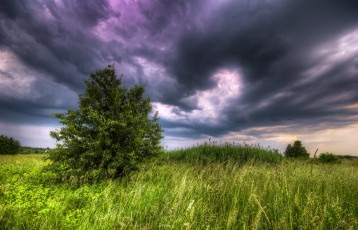 Картинка природа пейзажи простор