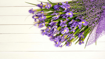 обоя цветы, ирисы, букет