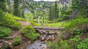 Картинка природа реки озера простор