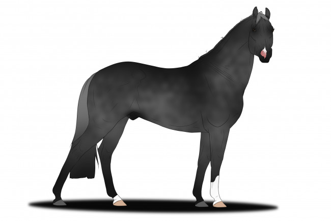 Обои картинки фото рисованное, животные,  лошади, лошадь