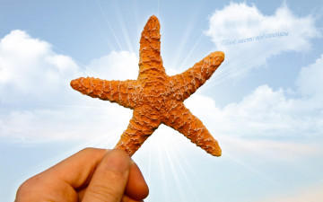 Картинка разное надписи +логотипы +знаки небо надпись рука морская звезда