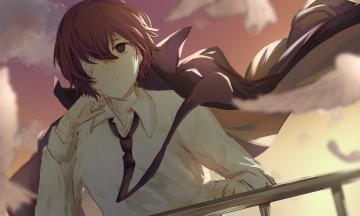 Картинка аниме bungou+stray+dogs bungou stray dogs