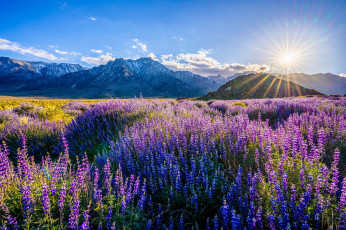 Картинка природа горы пейзаж