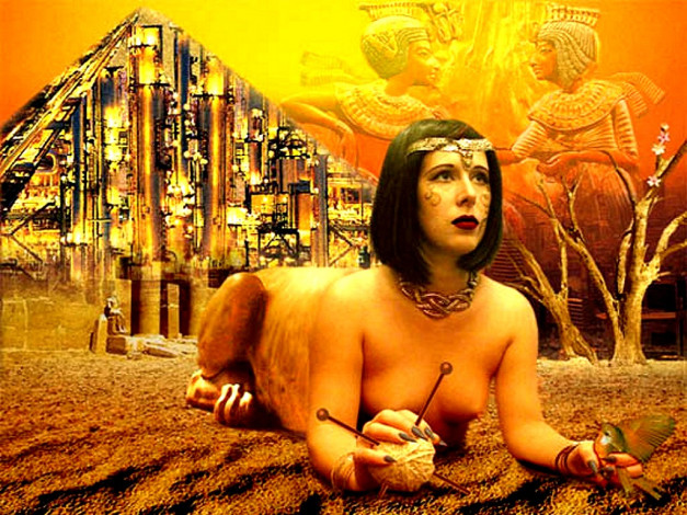 Обои картинки фото юмор, приколы