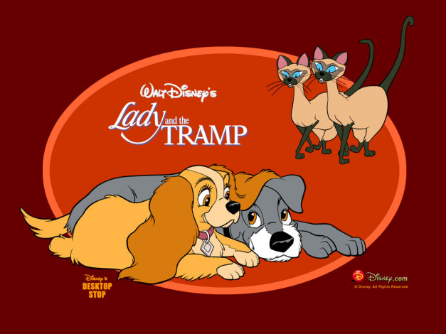 Обои картинки фото мультфильмы, lady, and, the, tramp