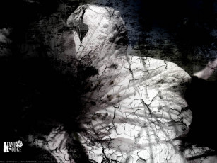 Картинка kambodge музыка