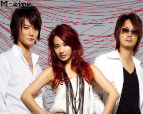 обоя бренды, muzine