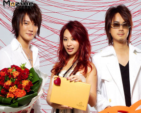 обоя бренды, muzine