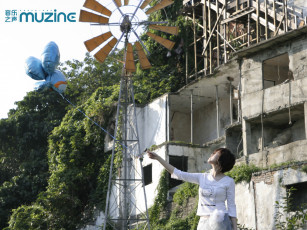 обоя muzine, бренды