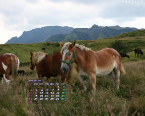 Картинка календари животные