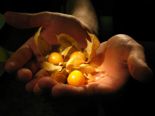 Картинка разное руки