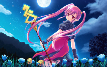 Картинка аниме weapon blood technology