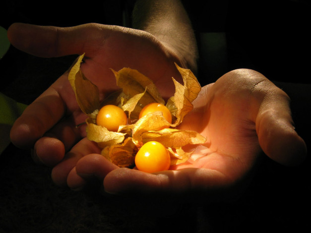 Обои картинки фото разное, руки