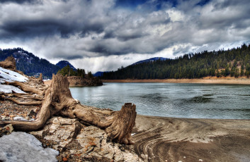 Картинка природа реки озера вода облака бревно