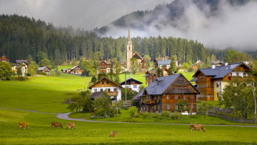 Картинка gosau village austria города пейзажи дымка трава луг austri австрия деревня архитектура здание дерево дом церковь природа деревья лес туман дорога животные корова идиллия