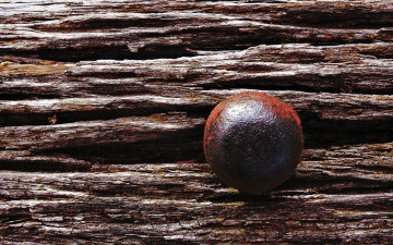 Картинка разное текстуры шляпка гвоздь бревно