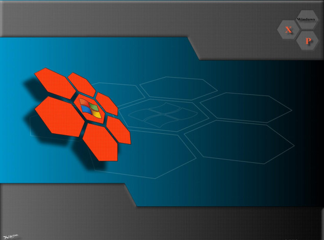 Обои картинки фото компьютеры, windows, xp, цветок, кпетки