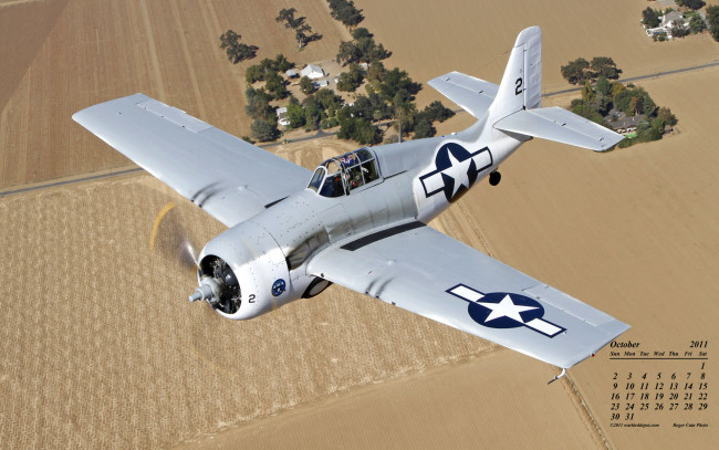 Обои картинки фото календари, авиация, самолет