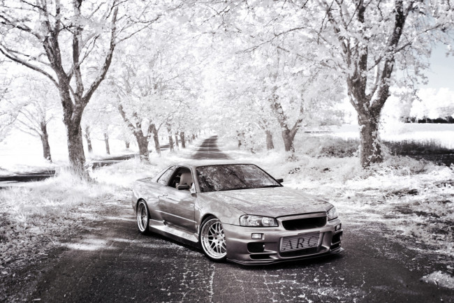 Обои картинки фото автомобили, nissan, datsun, skyline