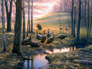 Картинка callin em out рисованные greg alexander осень индюки ручей живопись