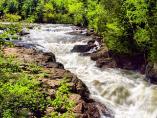 Картинка природа реки озера река лес