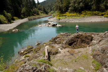 Картинка природа реки озера лес река