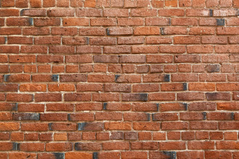 Картинка разное текстуры стена кирпич
